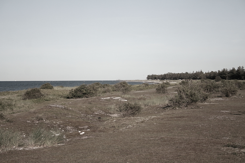 Killikus&reg; Fotographie